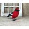 Red bird looks to her left